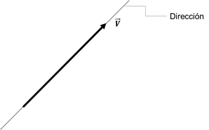 dirección vector